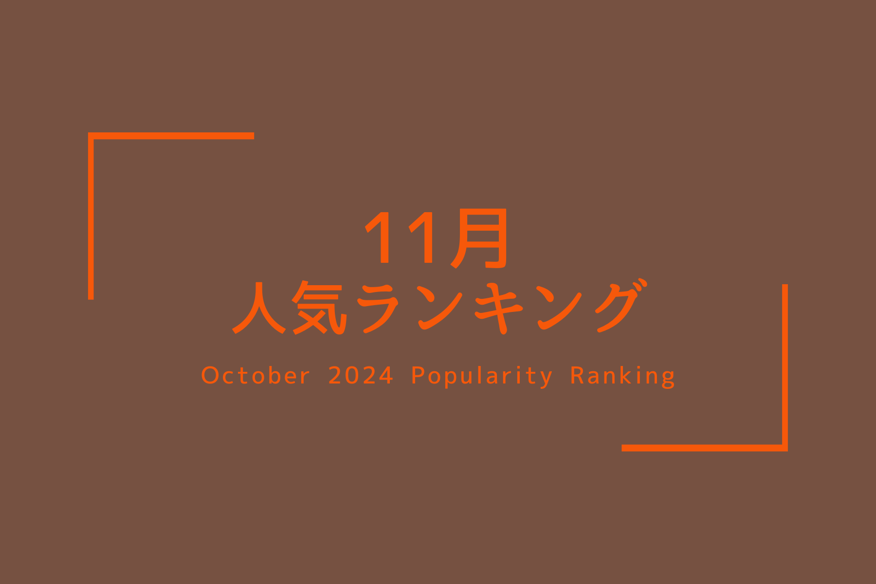 人気商品ランキング【2024、11月】