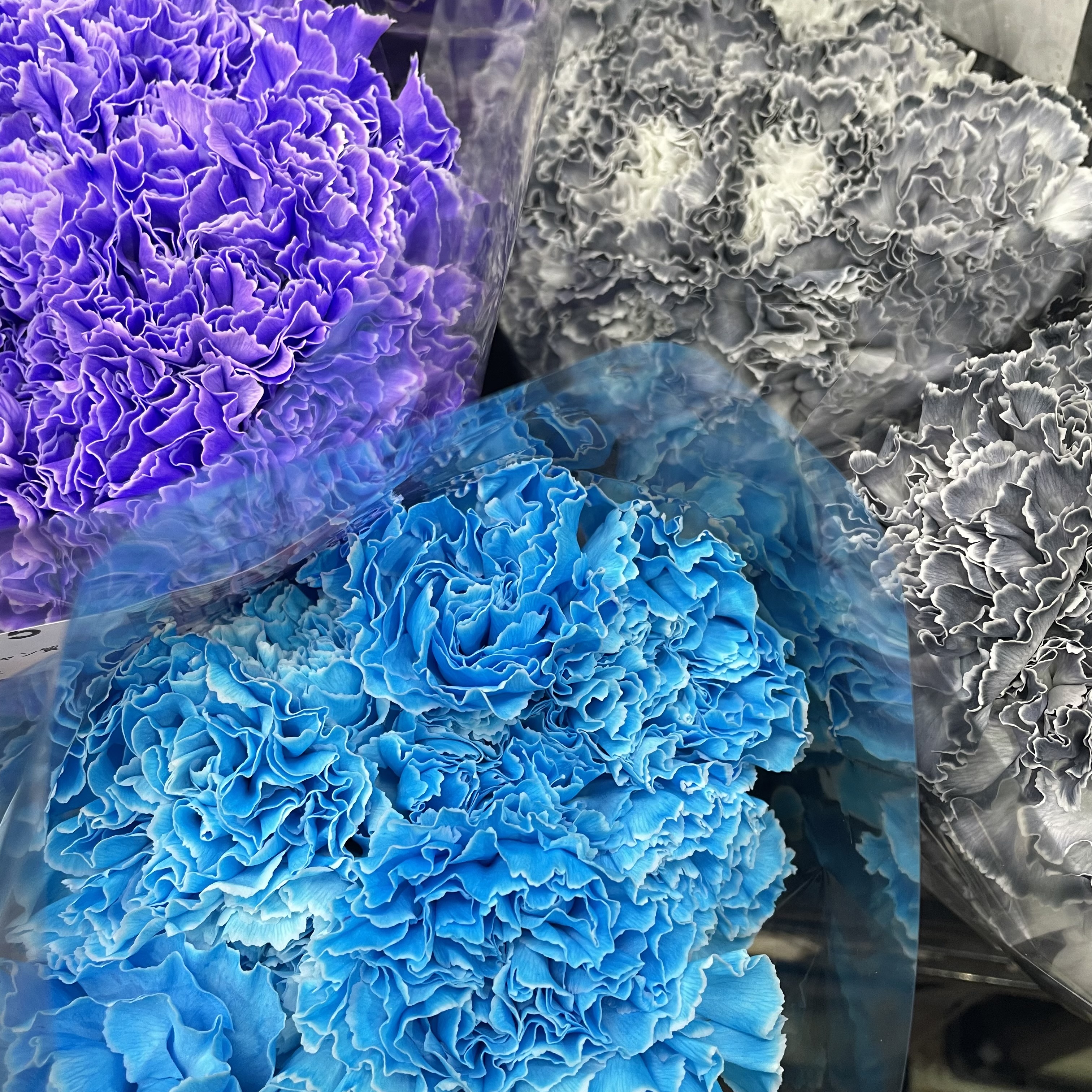 ブラックフライデー😊今年は何かしてみようかな👀