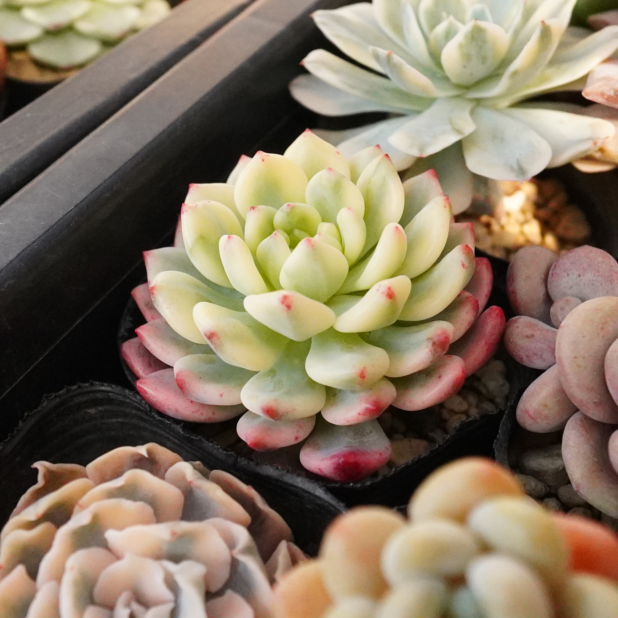 台風ですか！？冬の強風はすごいな〜😫