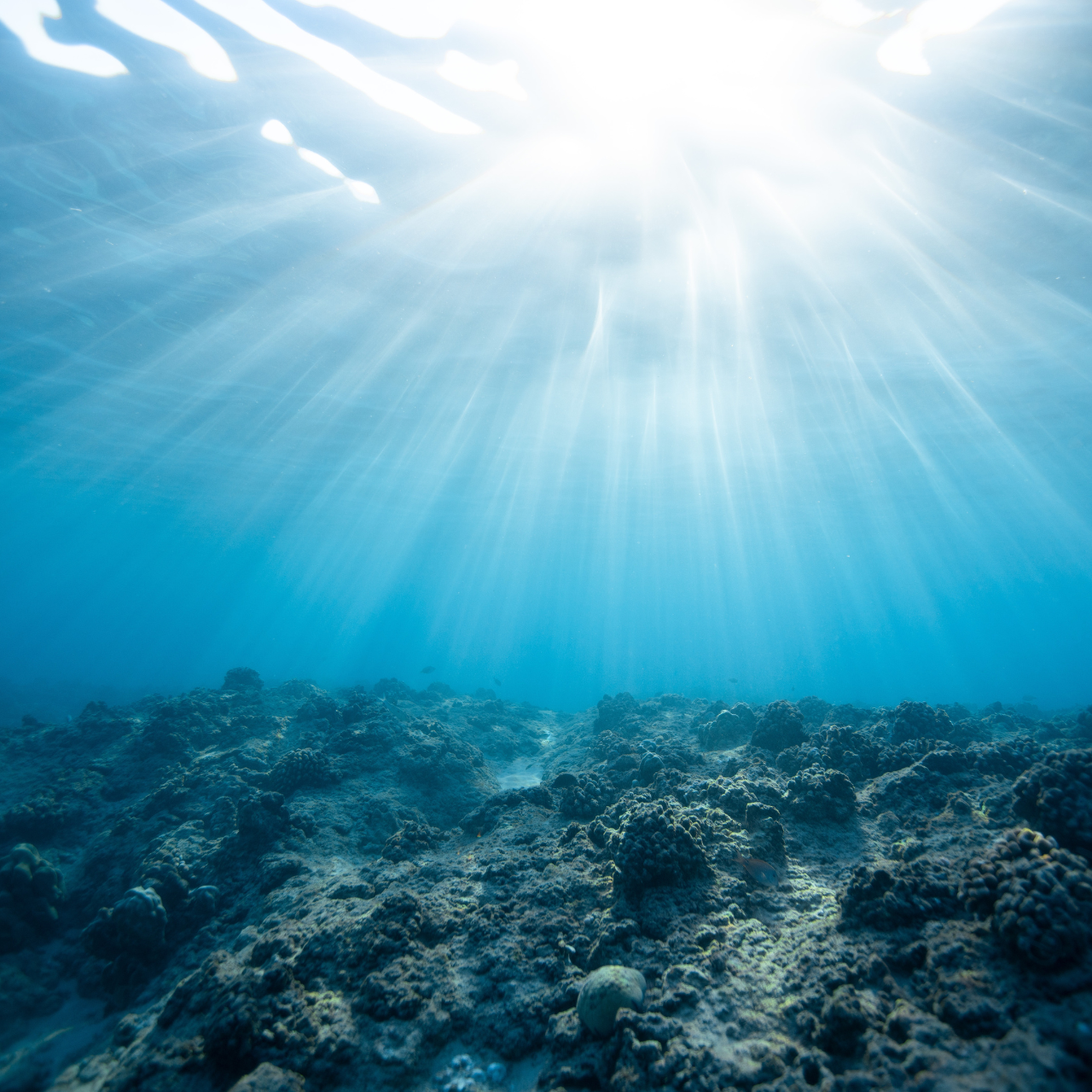海ってどんな種類があるの？