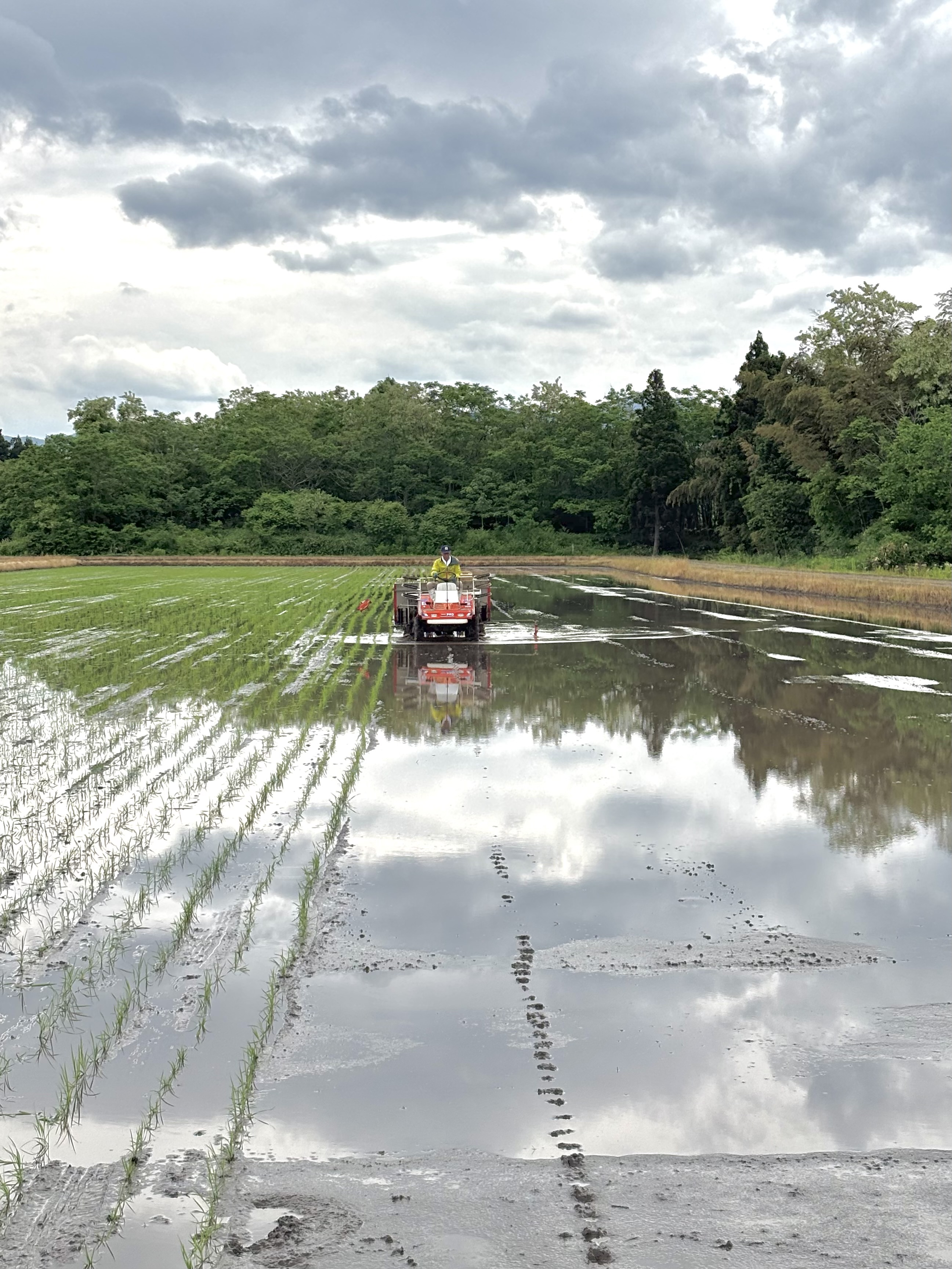 2025 絶賛田植え中