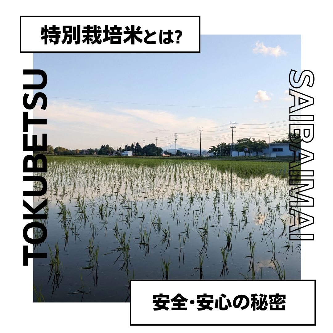 特別栽培米について