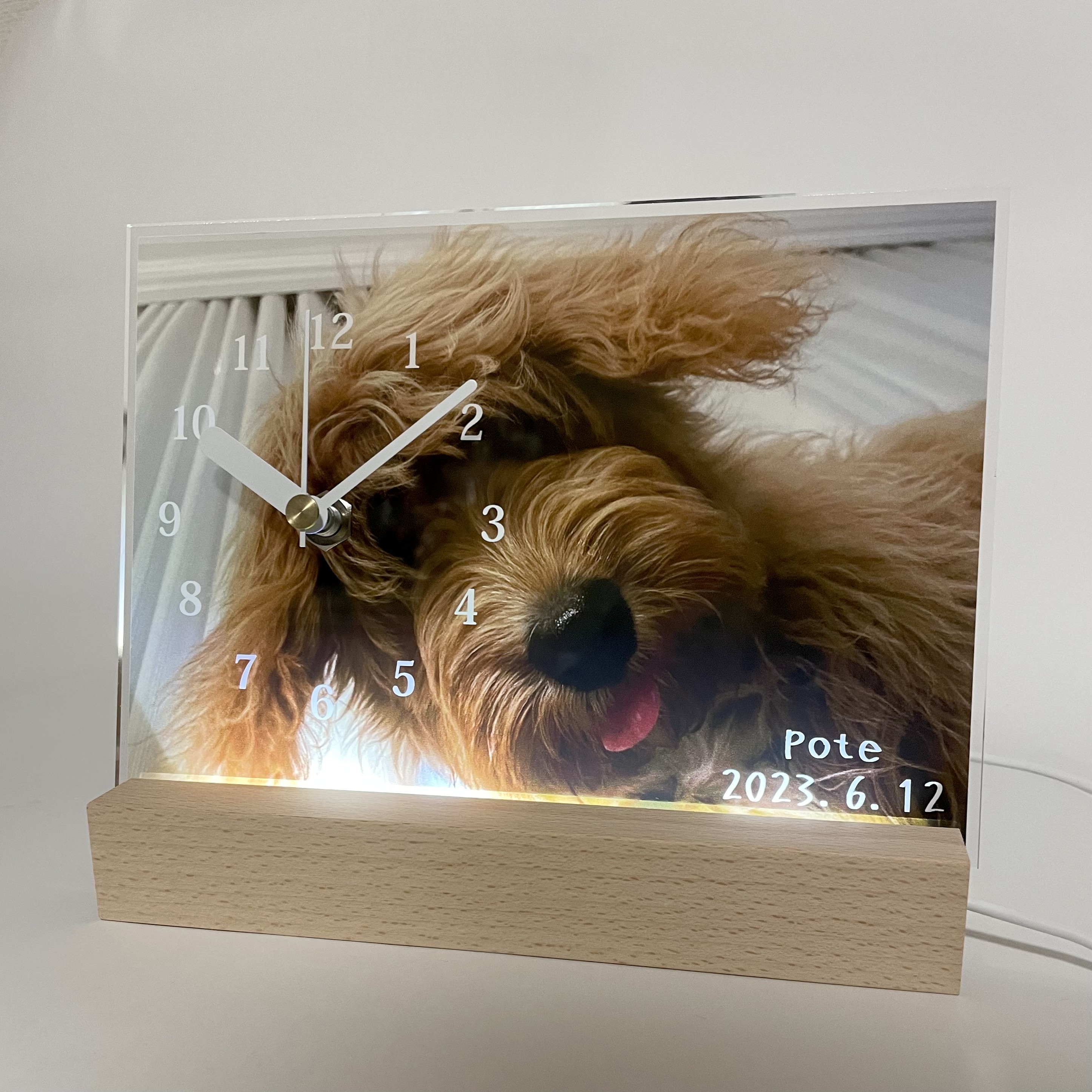 「こんな時におすすめ！愛犬の写真をアクリルにプリントする理由」