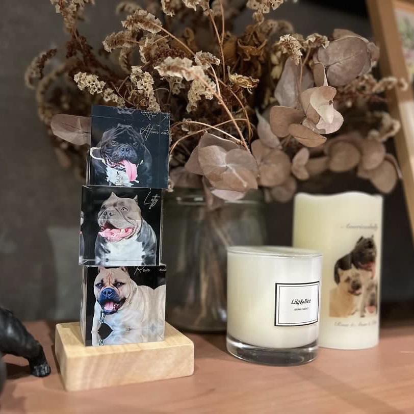 「犬の写真をお部屋に飾るともたらされる効果とは？」