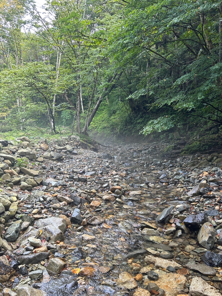 23渓流シーズン締め