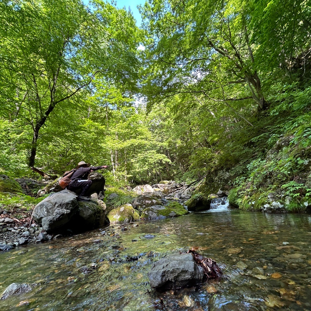 沢！に行って参りました🫡✨