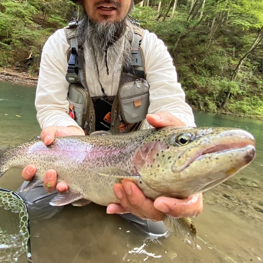 kvali上野村冬季ハコスチへ行くの巻