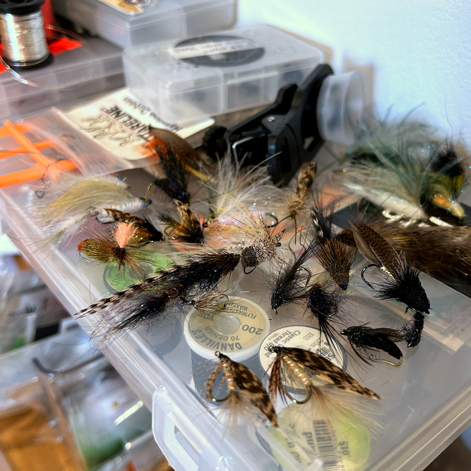 みなさんやってますかー！？🎣