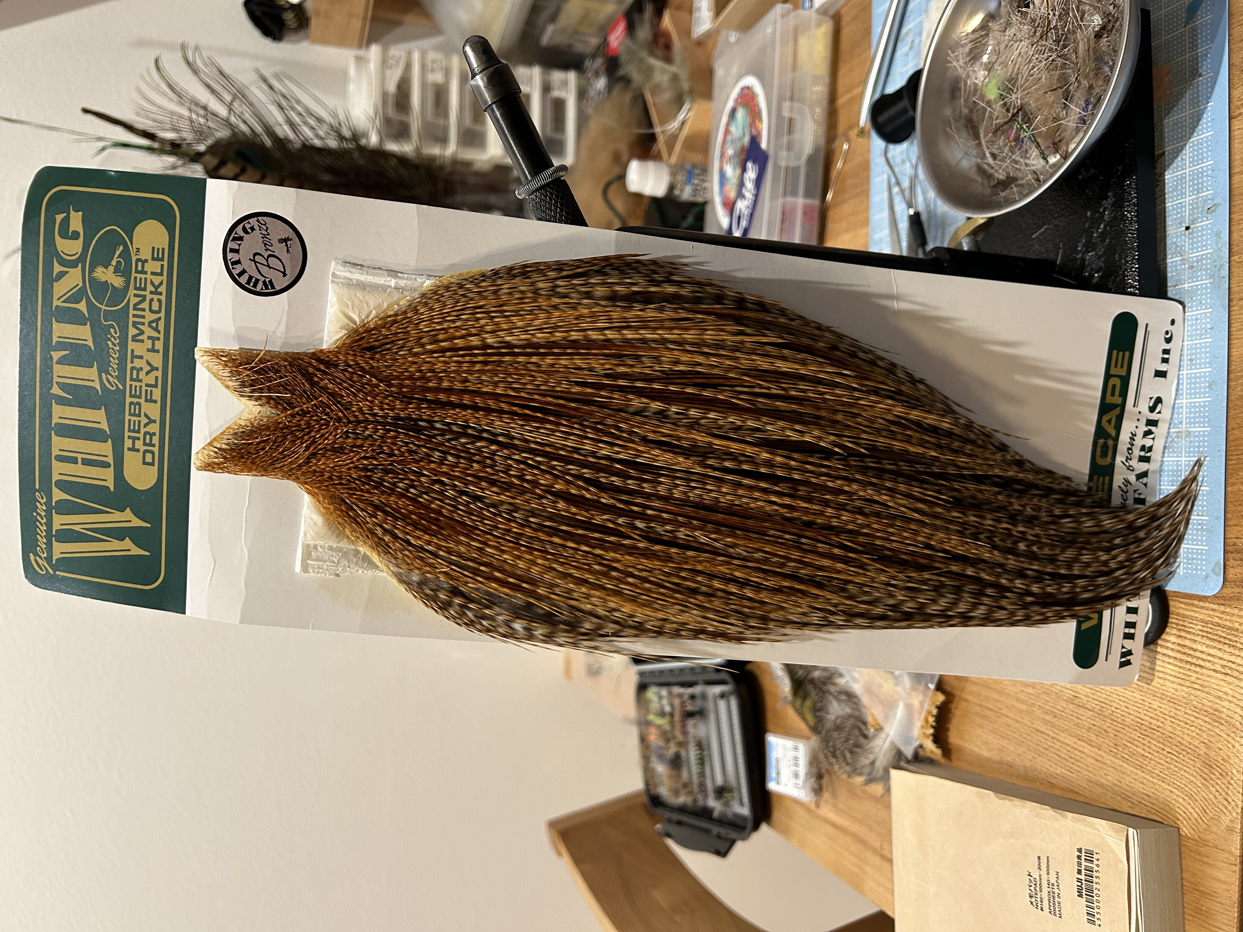 新しいケープが来た！