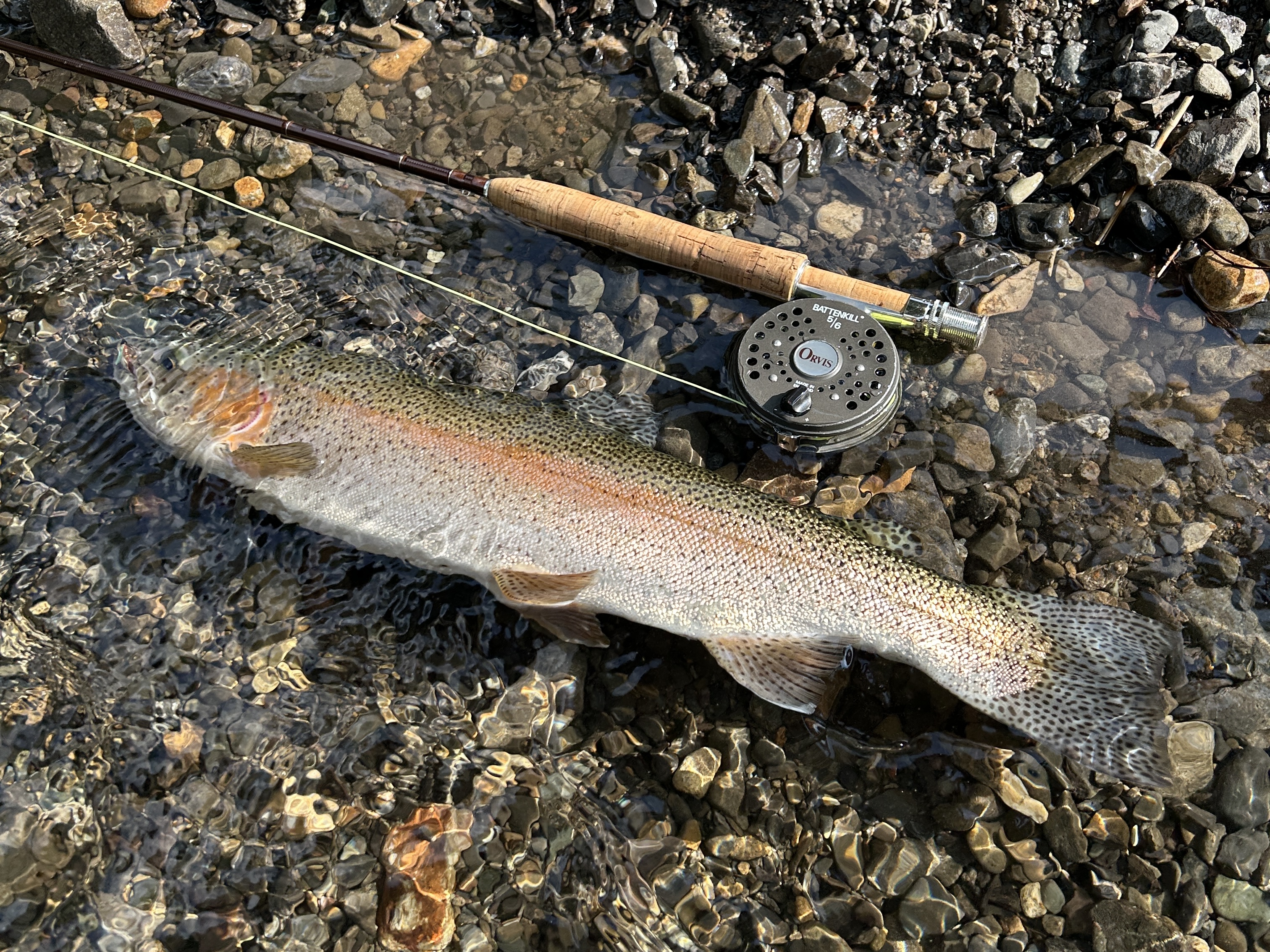 超至近距離サイトフィッシング