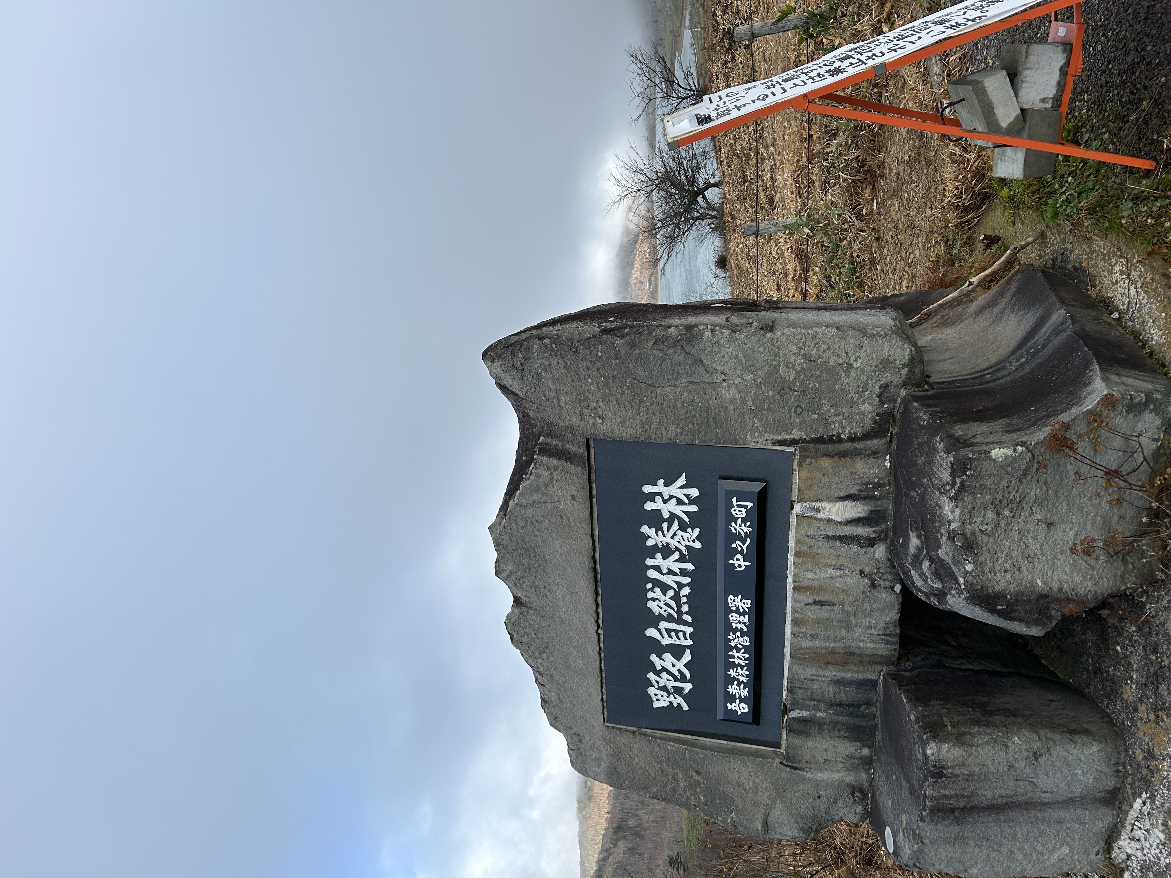 エアフロのスカンジライン