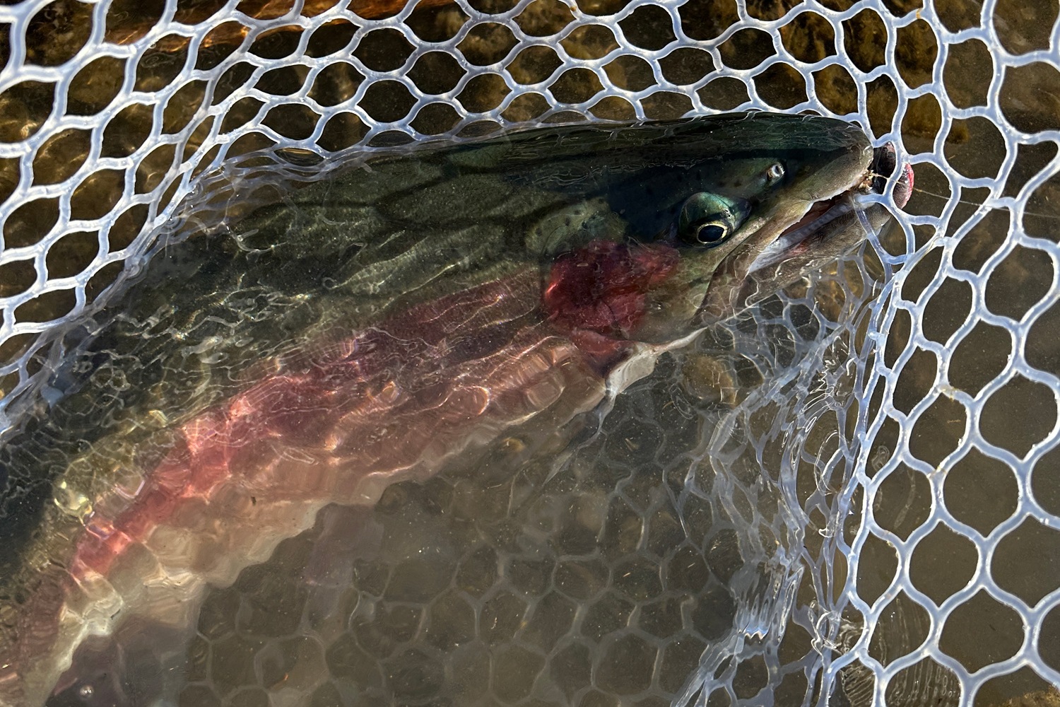 理想的なアタリ