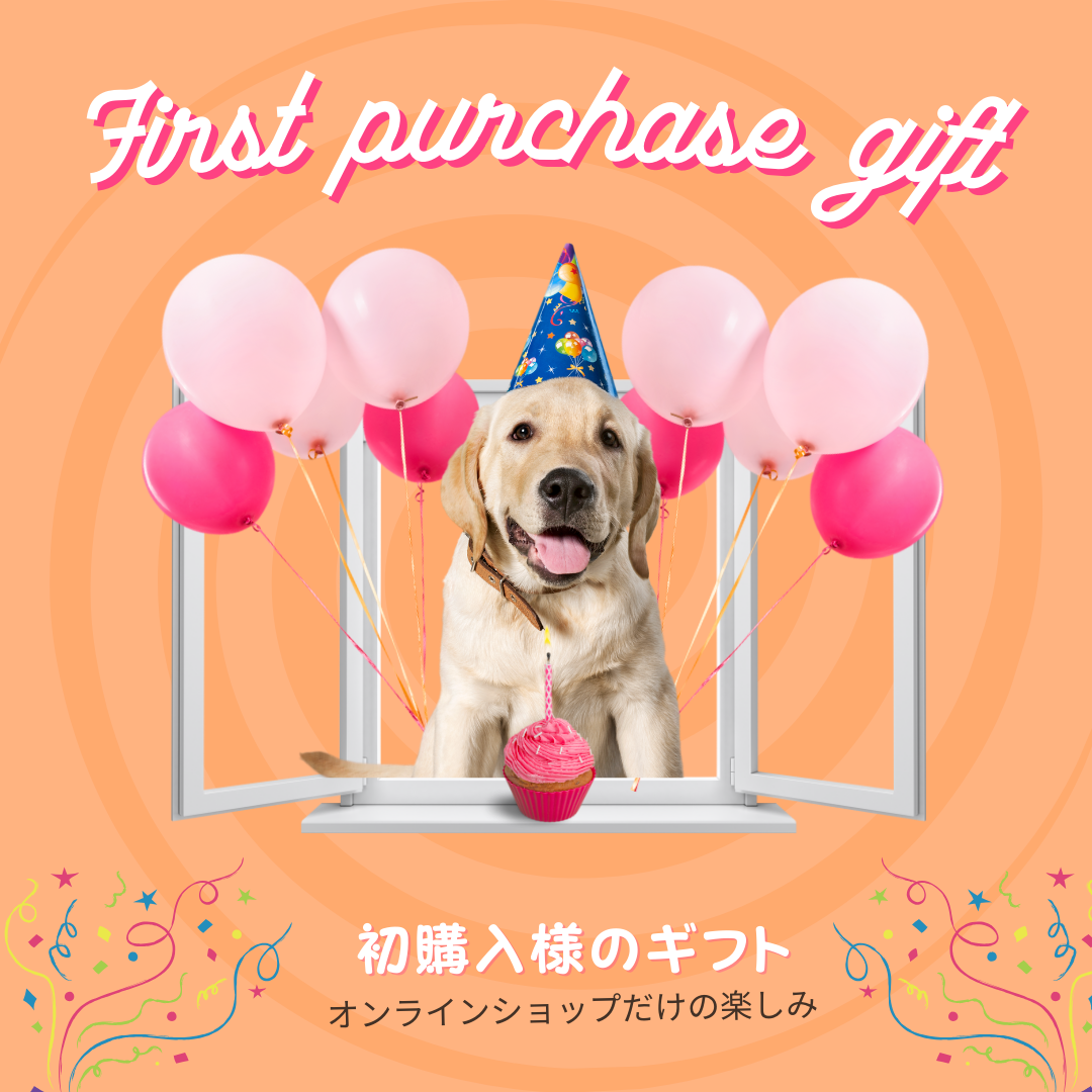 初購入様のギフト (オンラインショップだけの楽しみ)