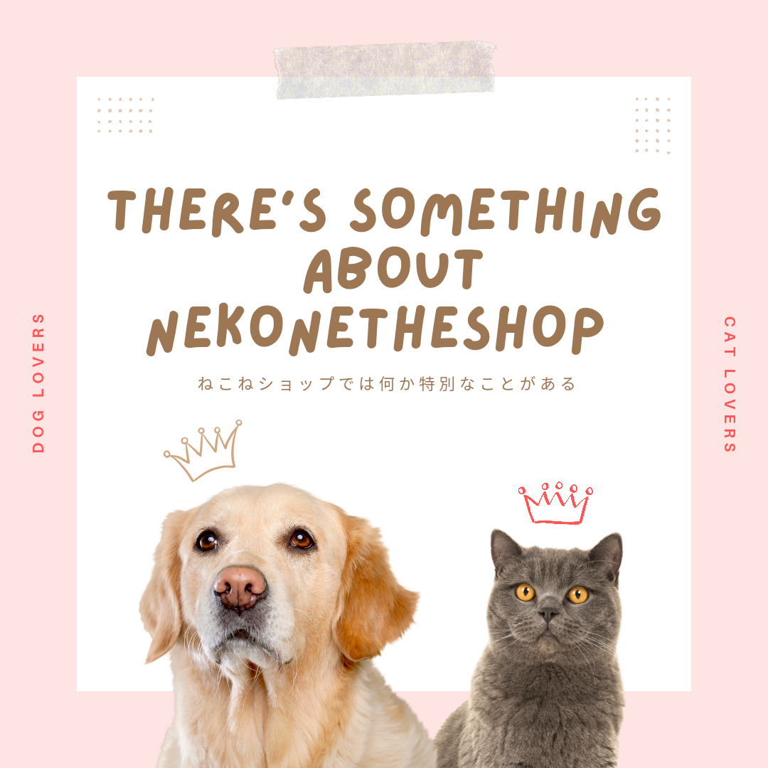 ねこねショップでは何か特別なことがある