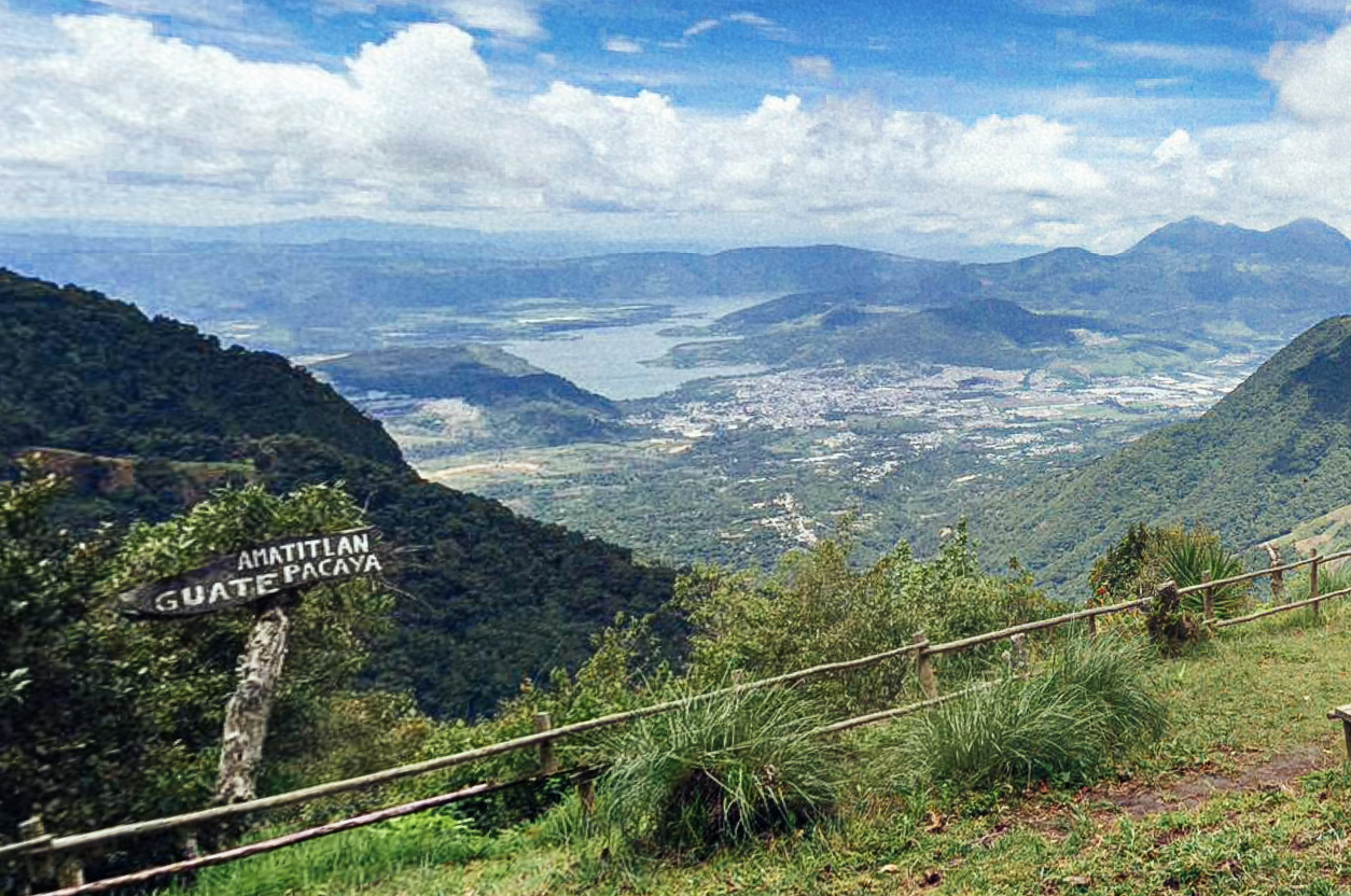 グアテマラ のSHBアンティグア ジャスミンを入荷しました。