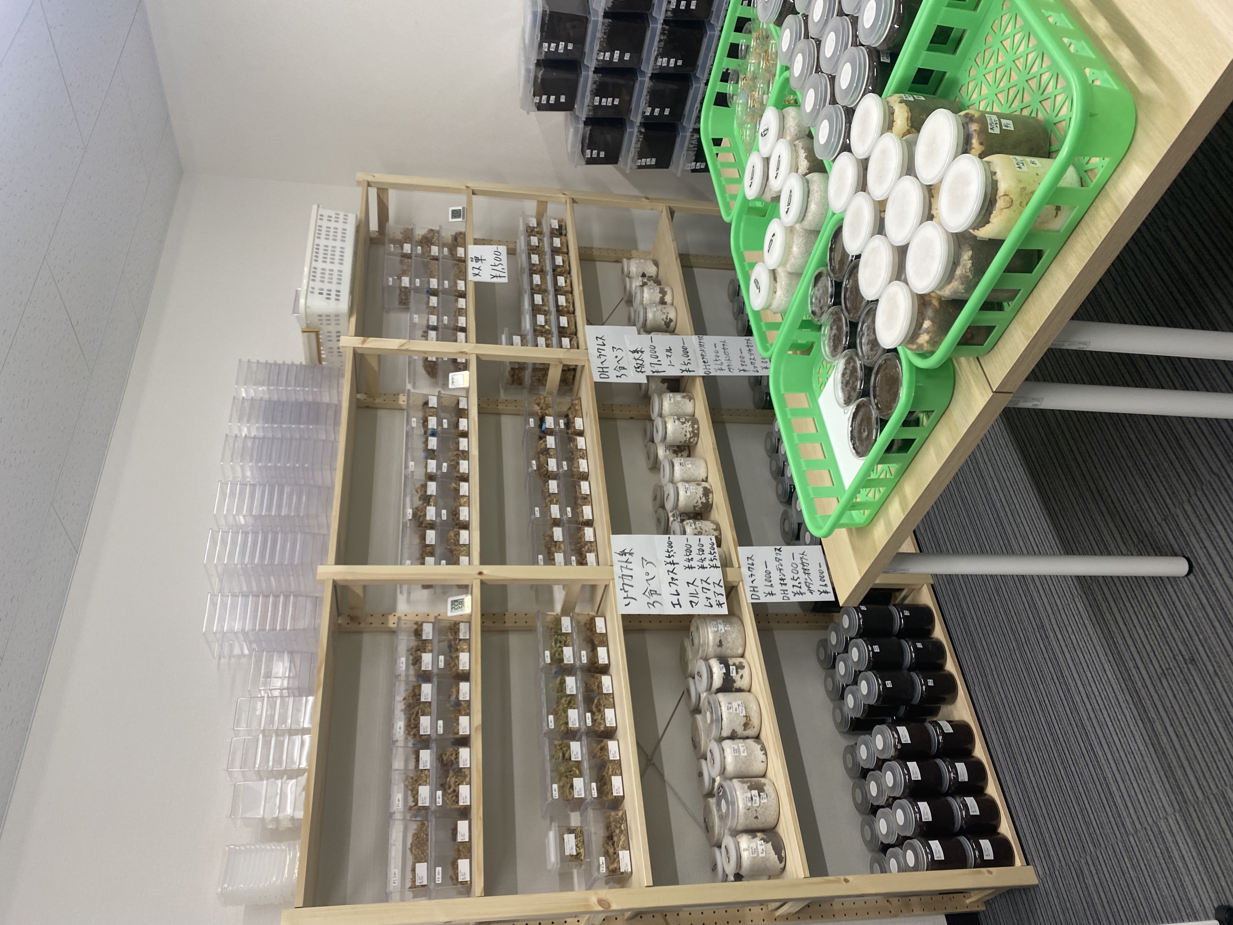 実店舗をオープン!