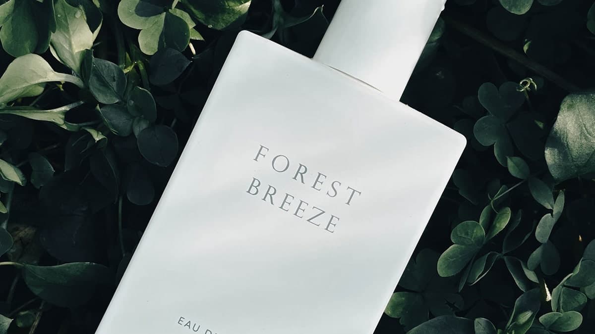 DENALIイチオシアイテムの紹介!