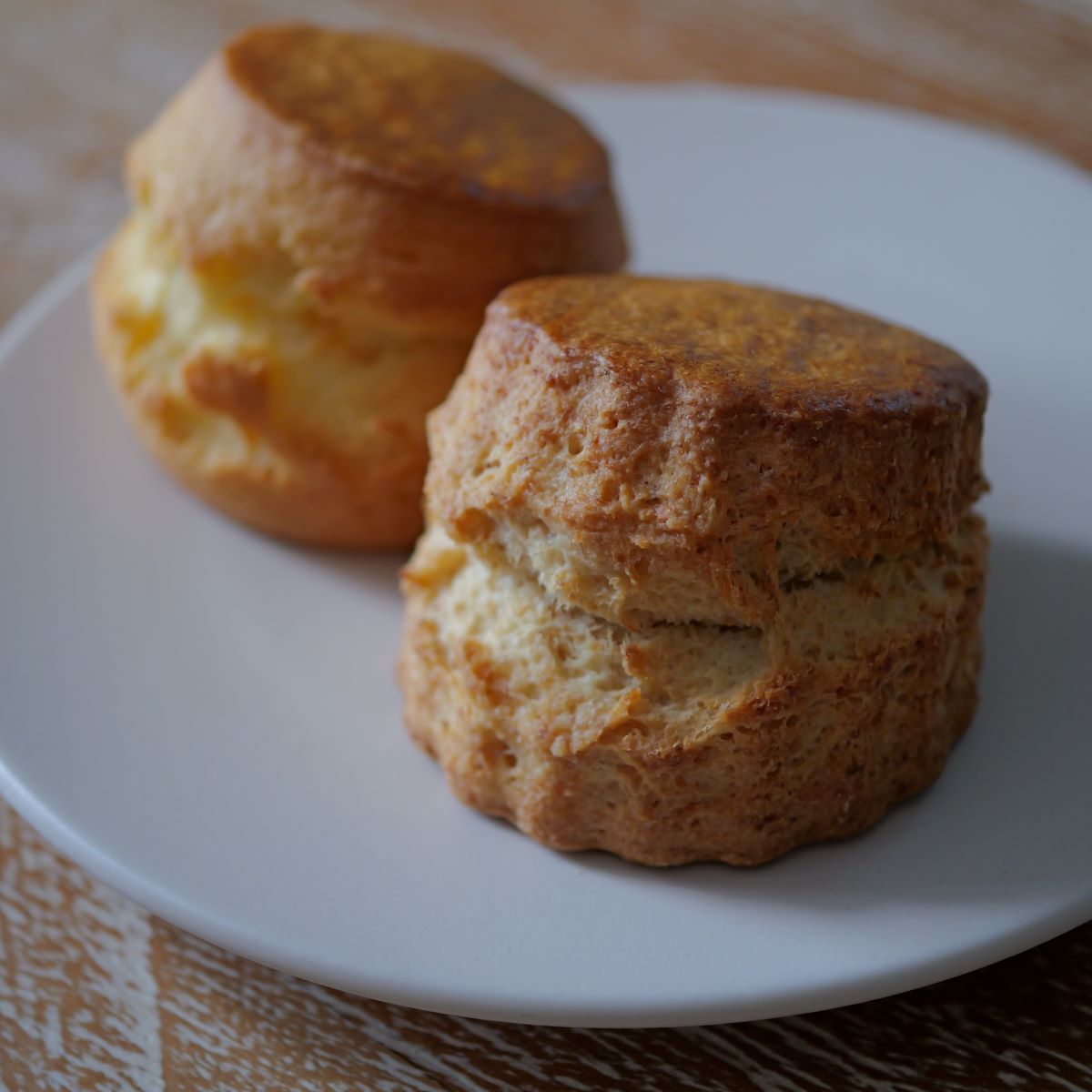 andsconeの仕事