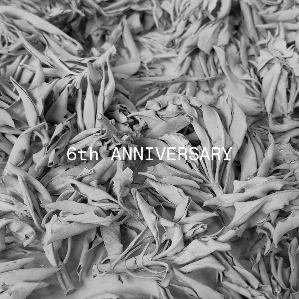 周年のご挨拶とキャンペーンのお知らせ