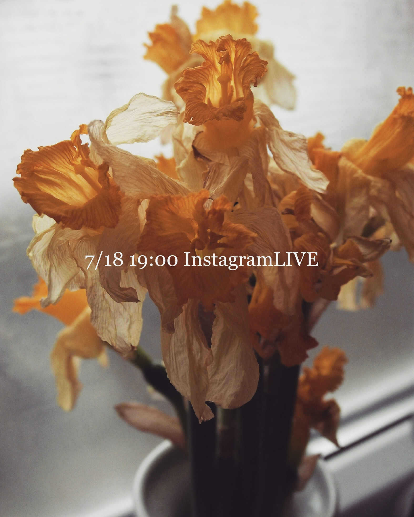 Atelierのつくりかた　7/18 19:00〜 InstagramLIVE