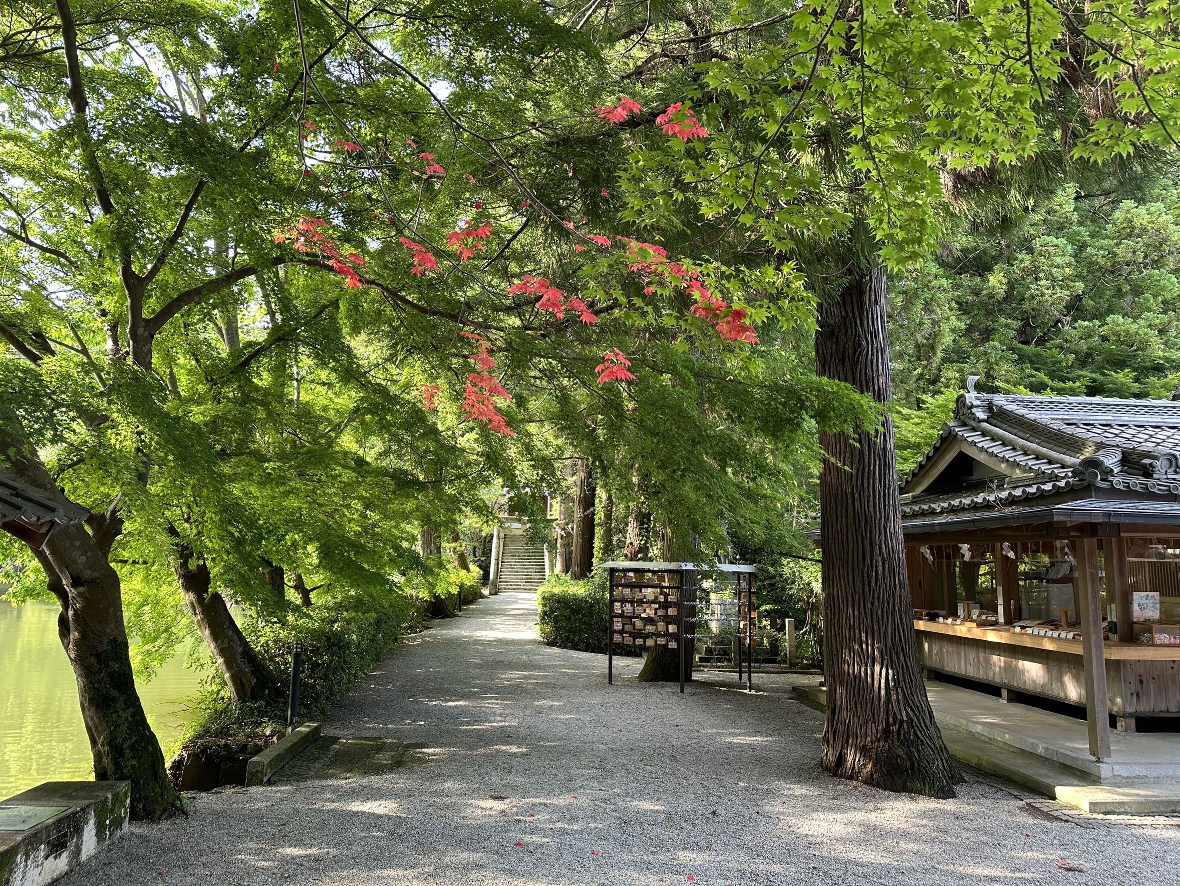 高鴨神社がちょっと凄かった