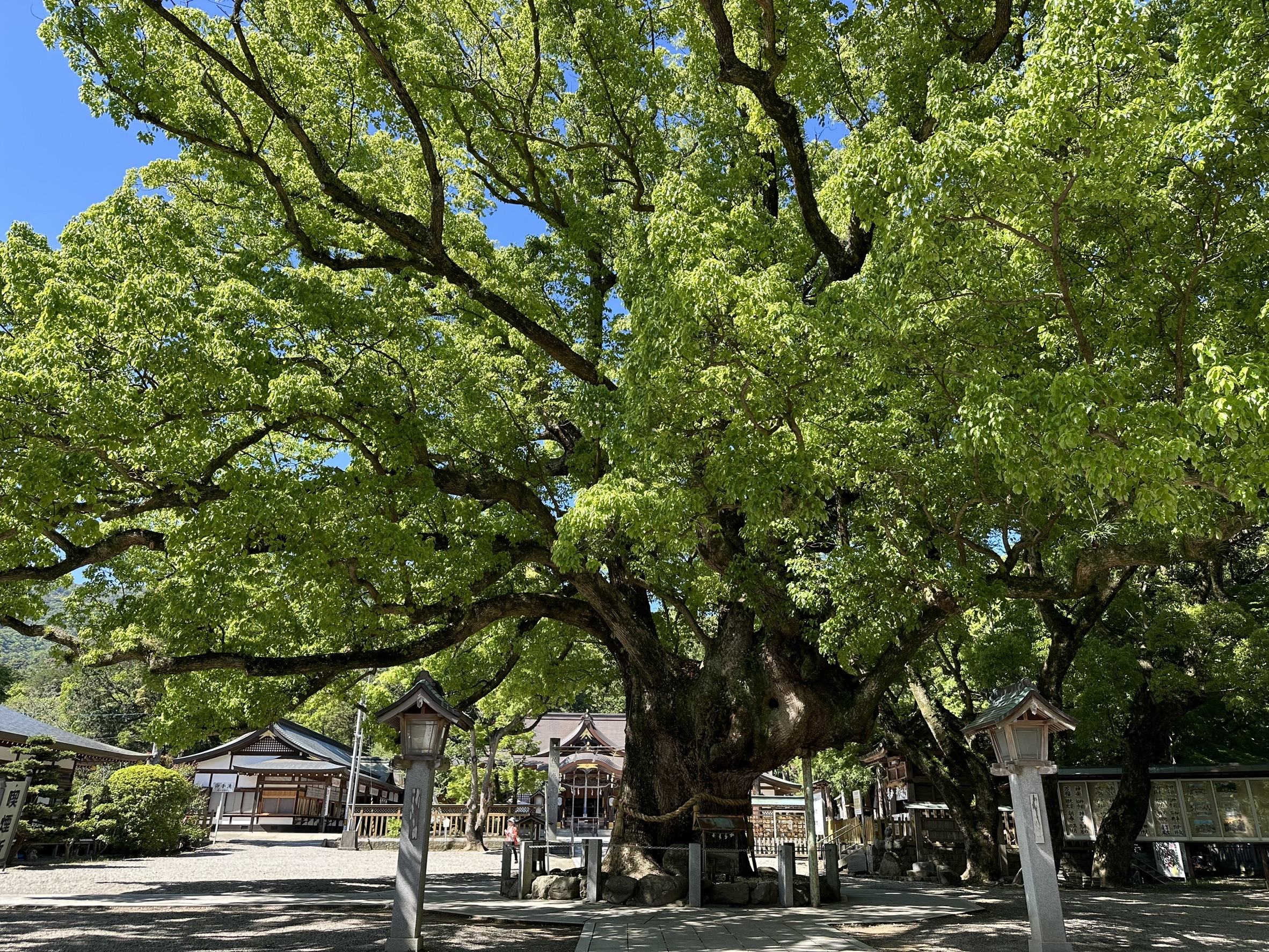 阿波国一ノ宮大麻比古神社