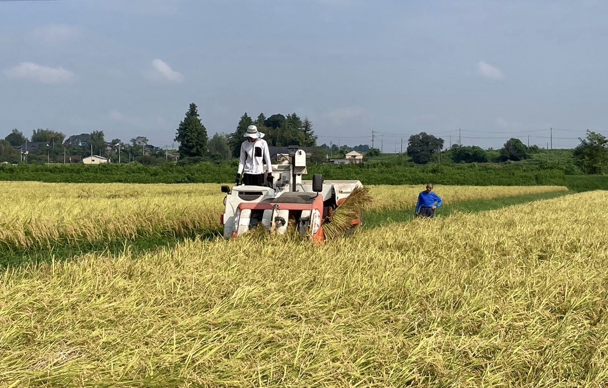 稲刈り終了🌾