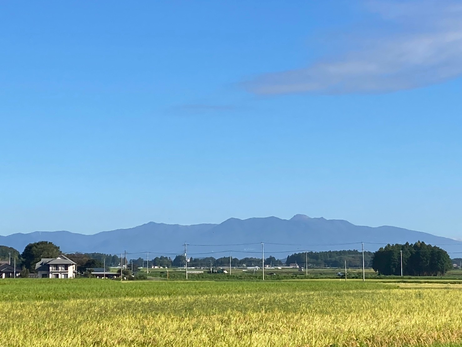 秋の味覚を楽しむ！【新米販売中】〈大田原いそ農園だより10月号〉