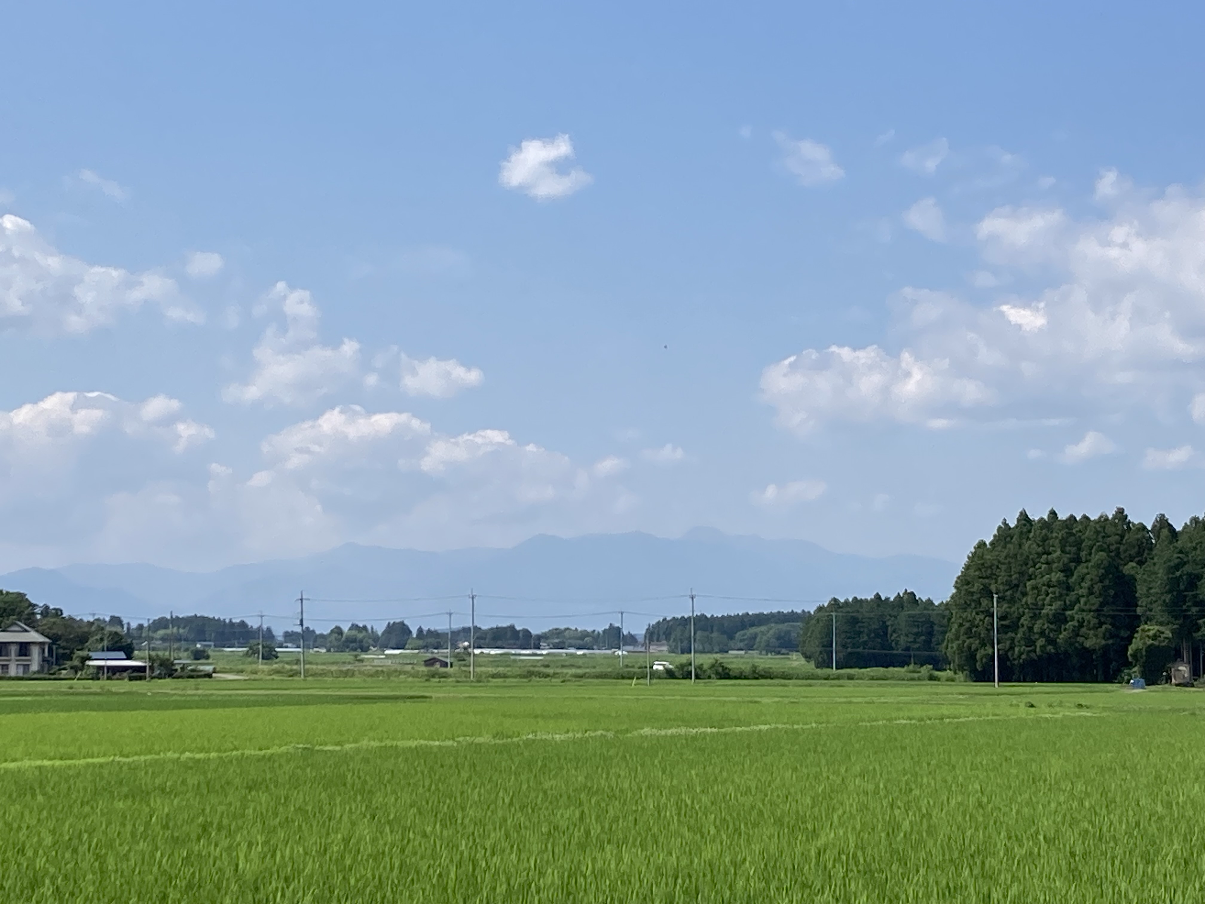 ふるさと納税返礼品掲載中！