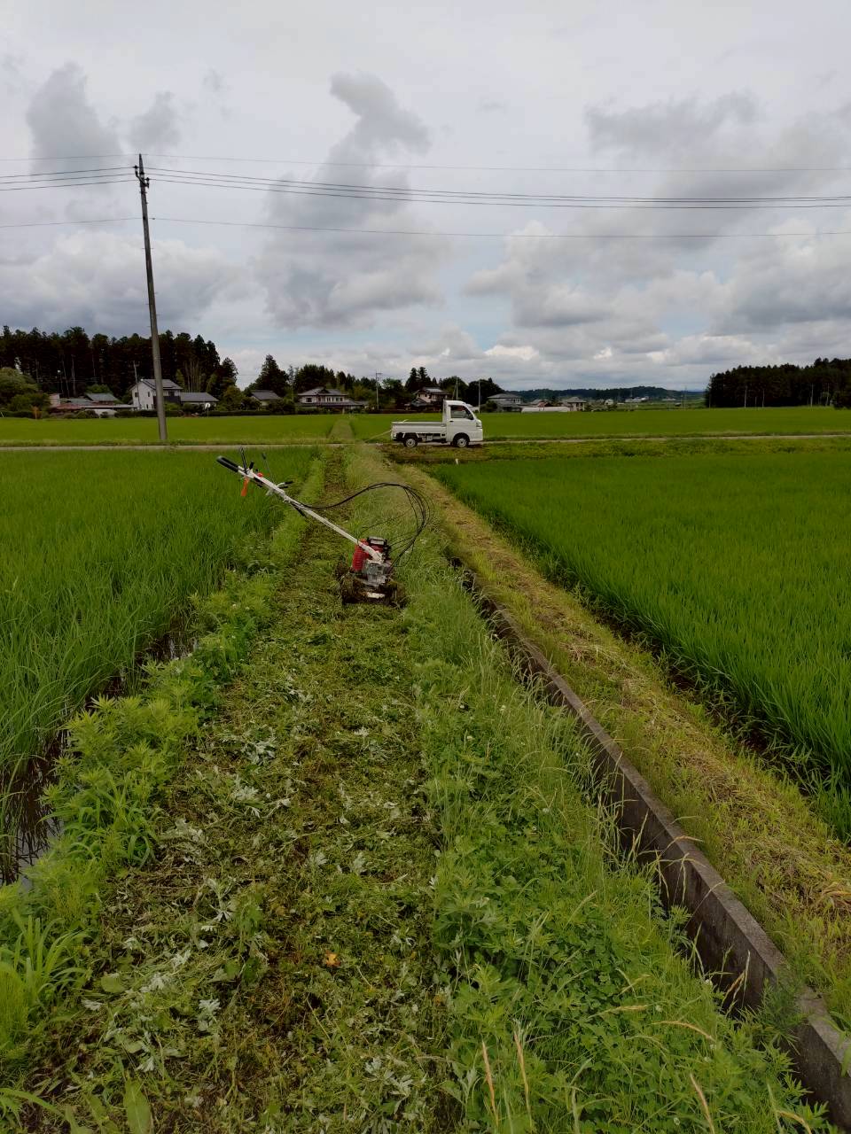 梅雨の合間の草刈り！