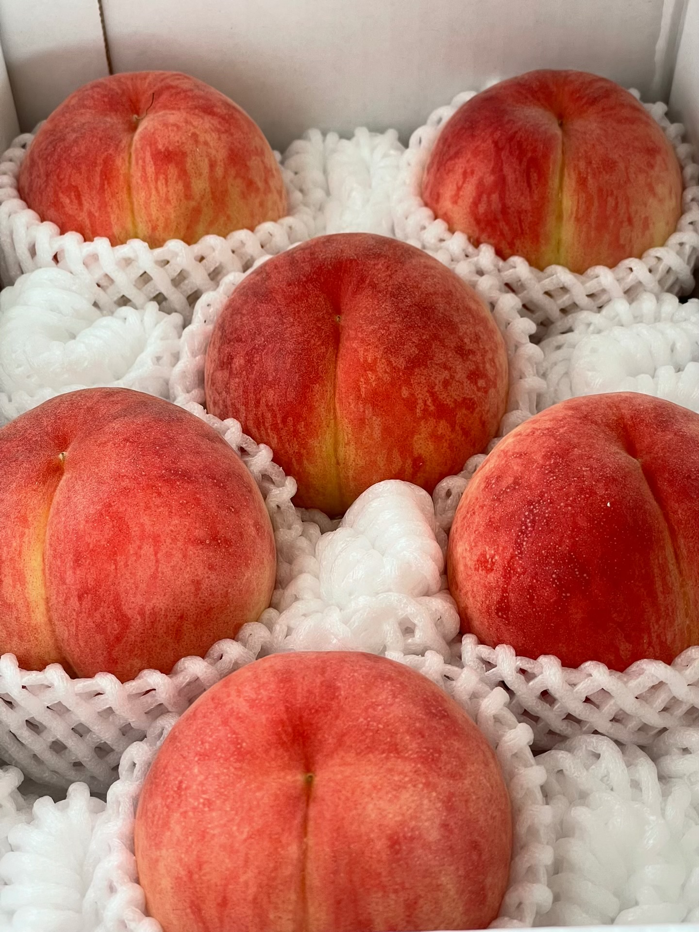 暁星の収穫開始致しました🍑
