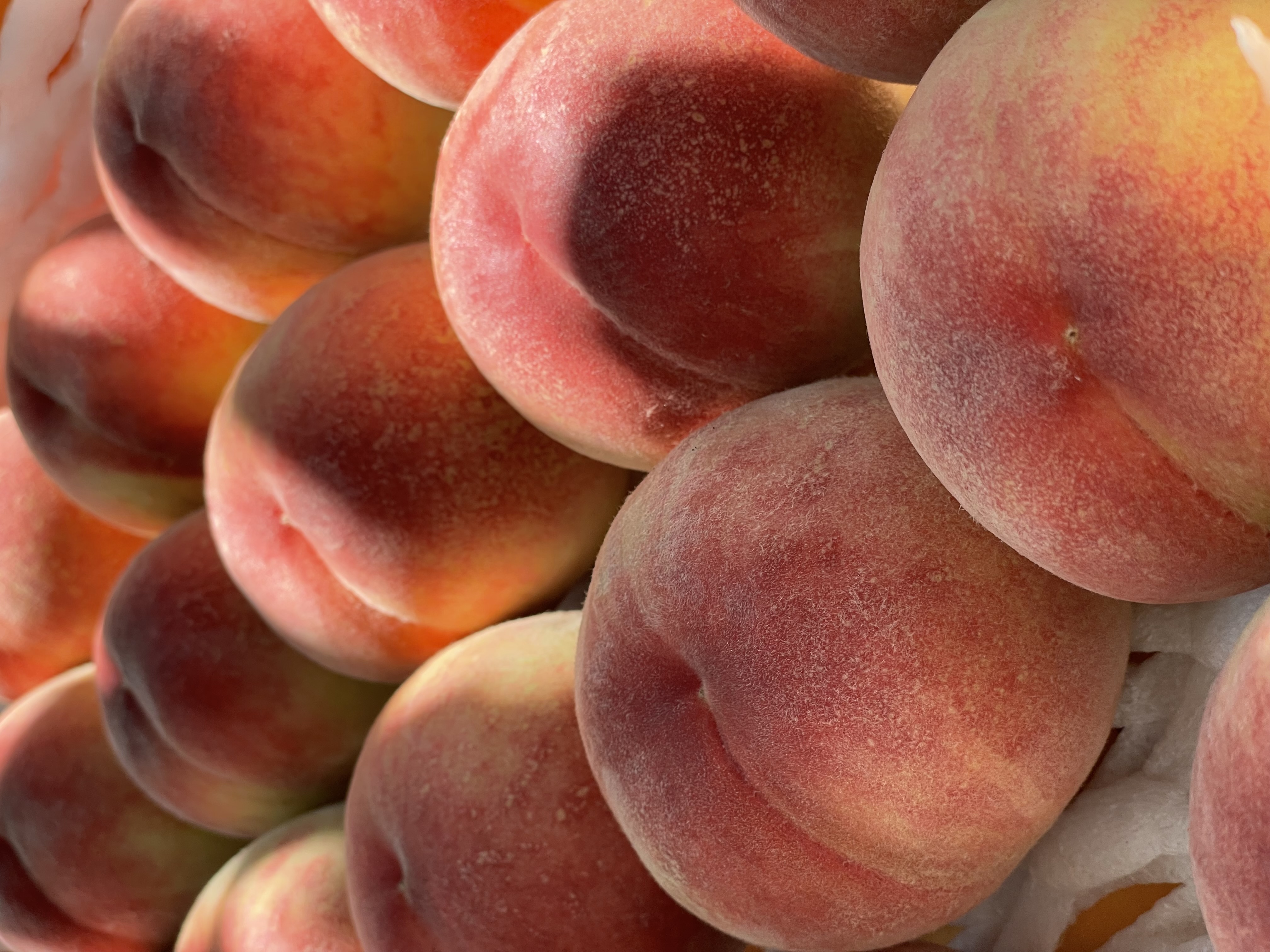 祖父の収穫👨🏼‍🦳🍑