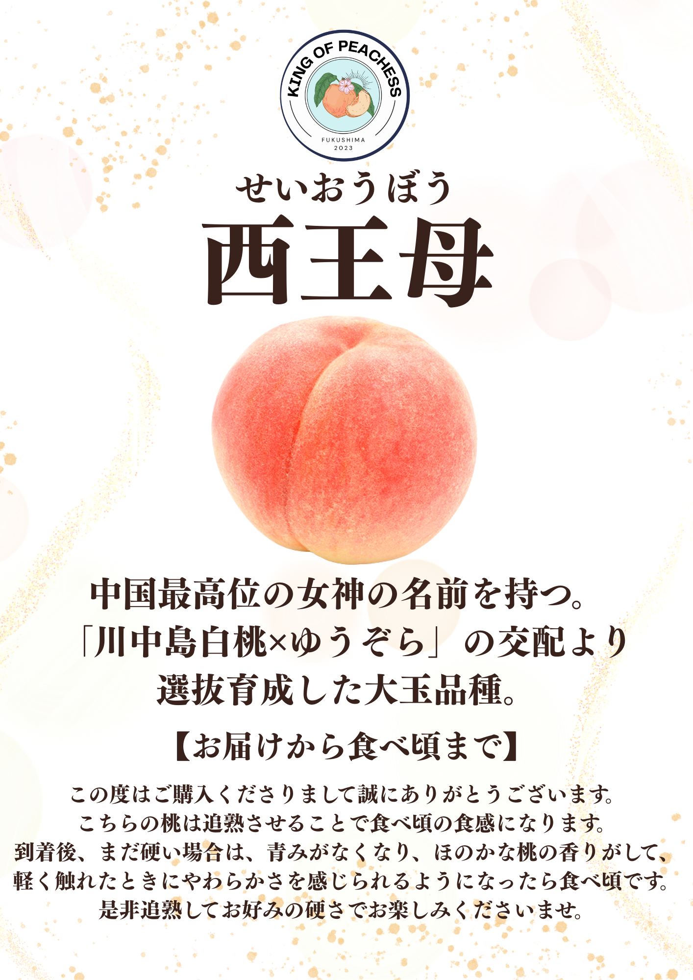 今期最後の収穫!大玉品種「西王母」