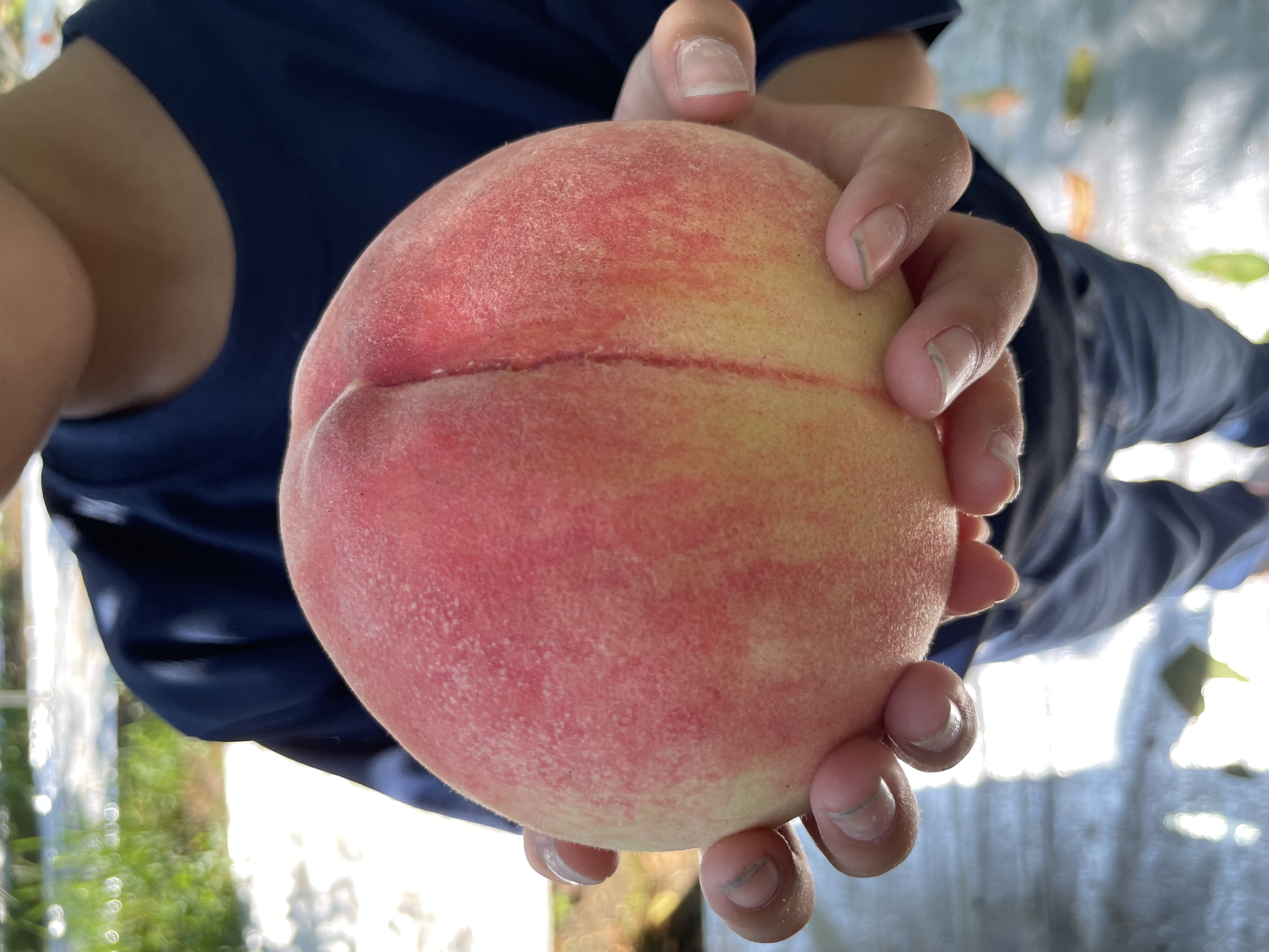 ビックサイズを発見！🍑😳