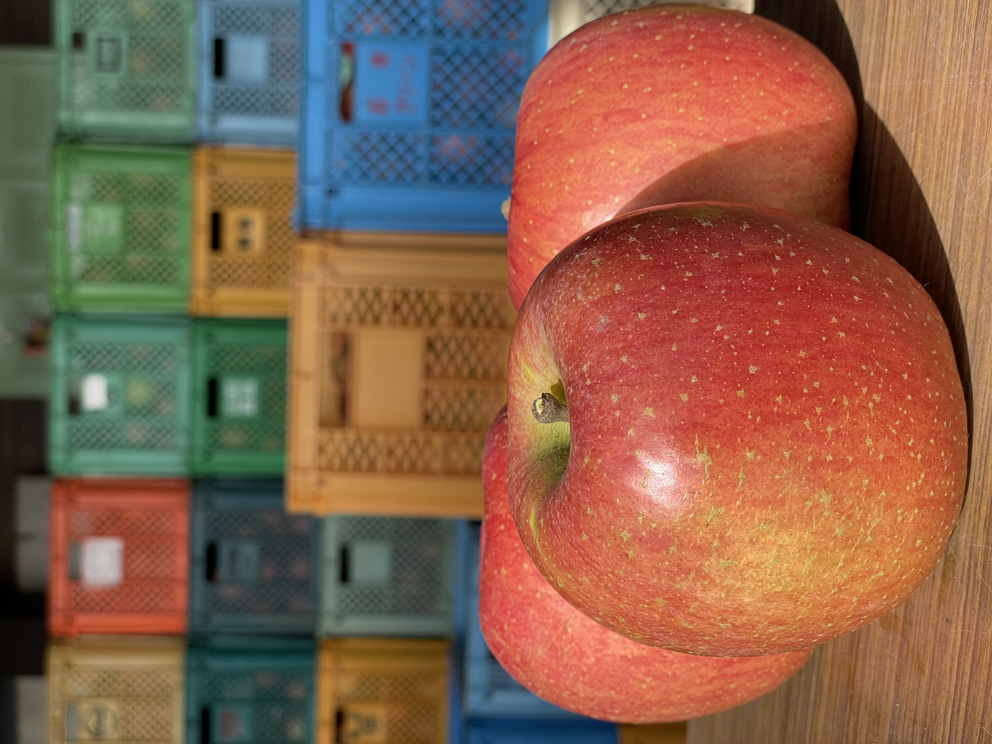 私たちの林檎の選び方🍎