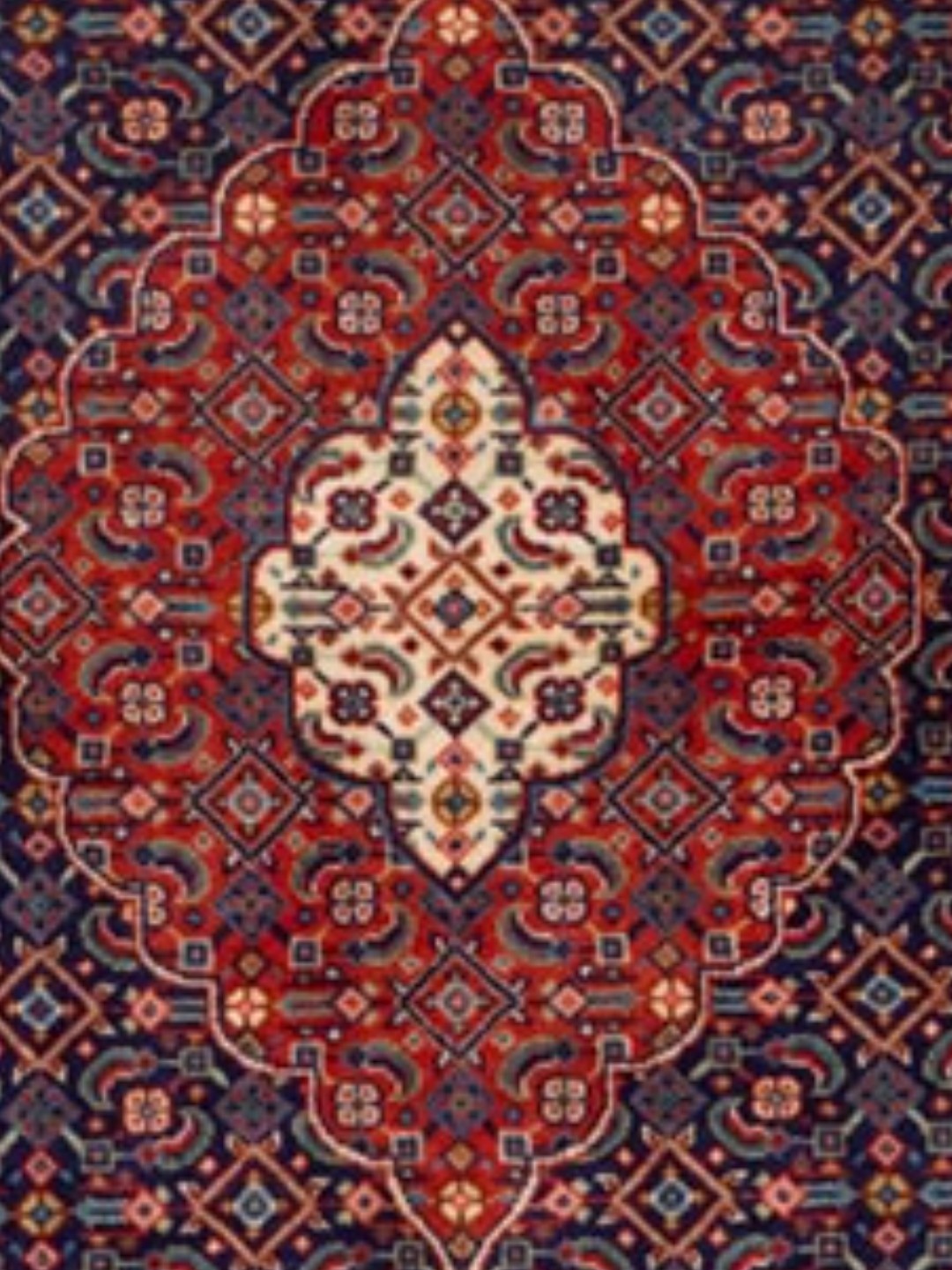 モチーフ「マヒ(魚）」の説明