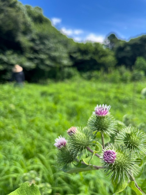 vol.5｜8月、9月の記憶｜暑い暑いで過ぎ去ってしまったふたつき