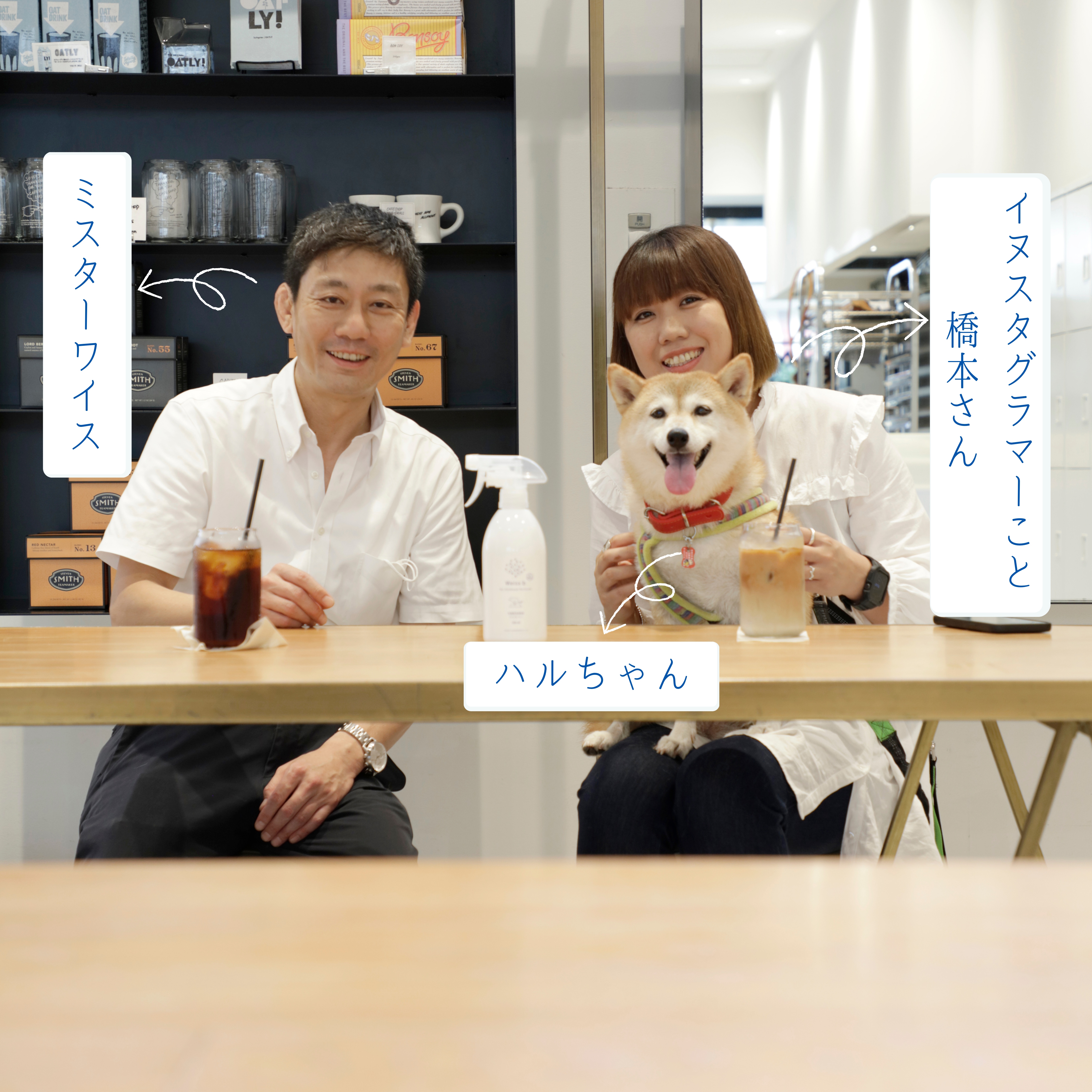 ワンバサダーのご紹介