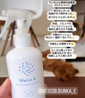 お客様からの声