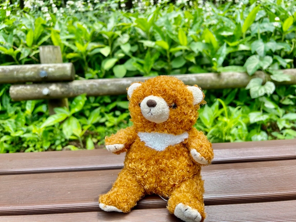 【商品のご紹介】甘えん坊のフワフワくまさんがやってきた！