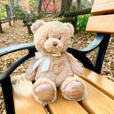 【商品のご紹介】my fist teddy 1歳のお祝いに、初めてのくまさんを。～タン(ブラウン)