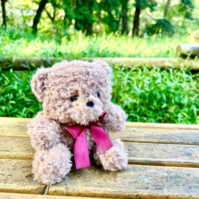 【商品のご紹介】フワフワ毛並みの小さなくまさん