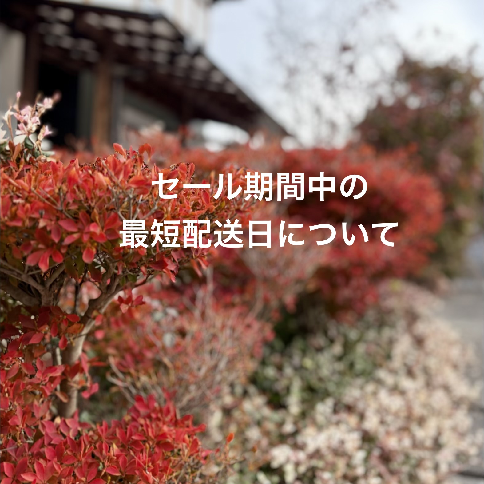 セール期間中の最短配送日について