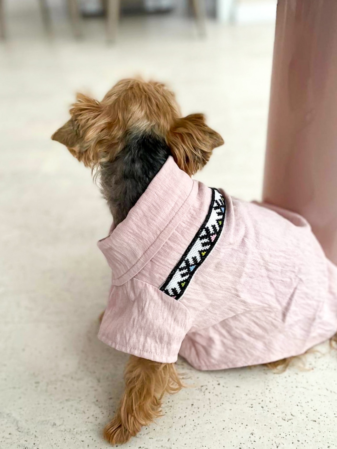 【予約商品・新商品入荷しました!!】明日より順次ご予約で販売していた新しい商品の発送開始です