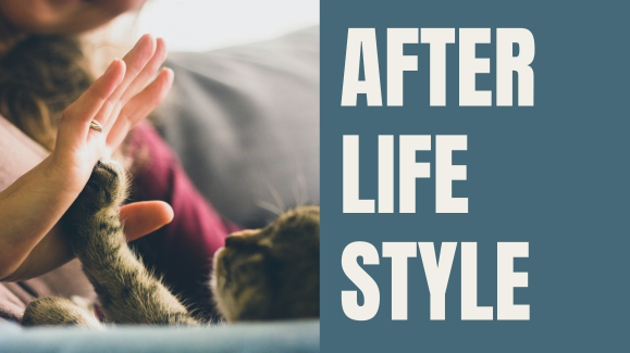 AFTER LIFE STYLE～あの子と共に歩む新しい日々の暮らし方