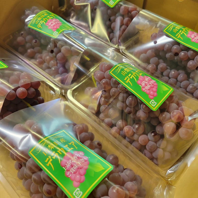 ▼【送料込】2025年早割受付★について