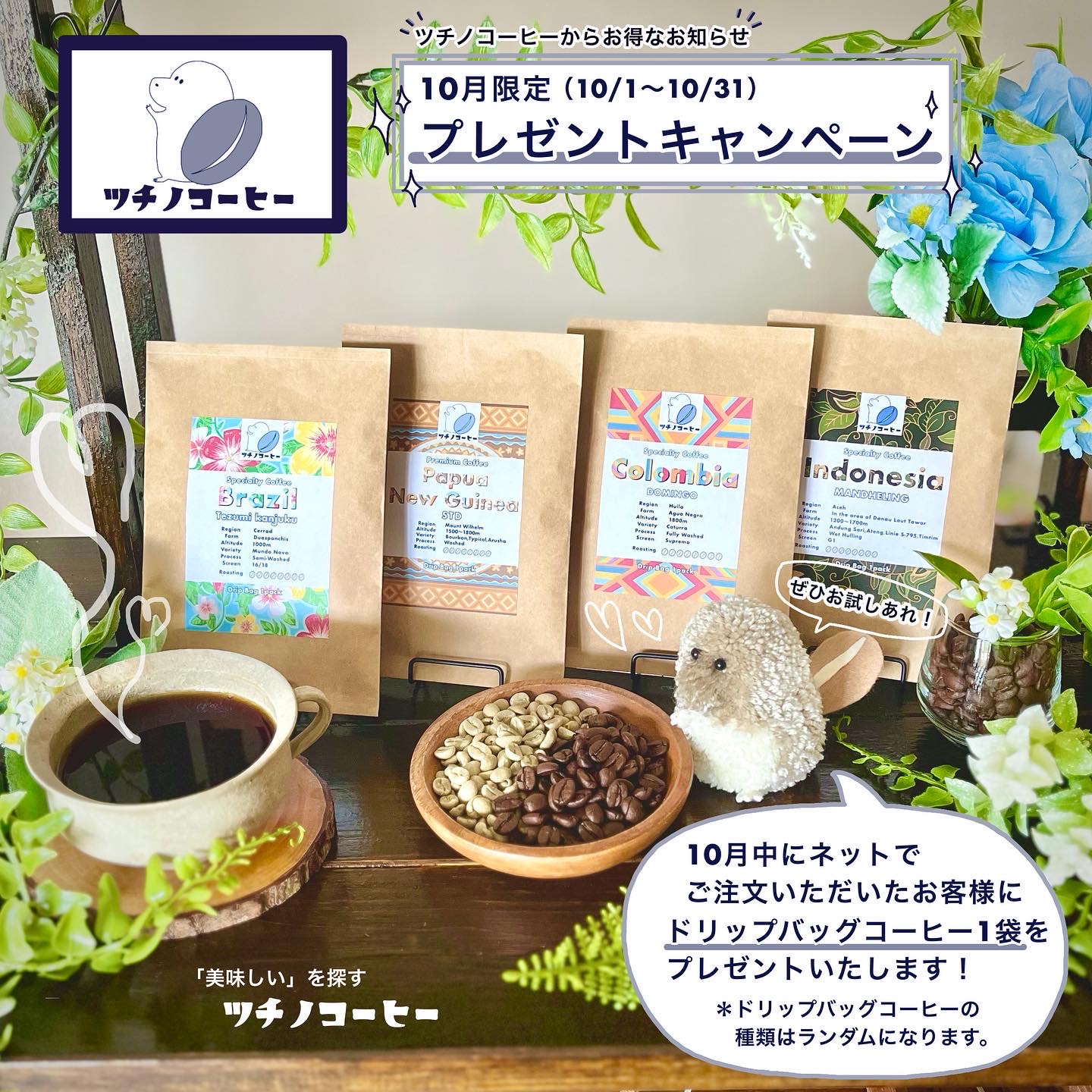 お得なキャンペーン開催のお知らせ