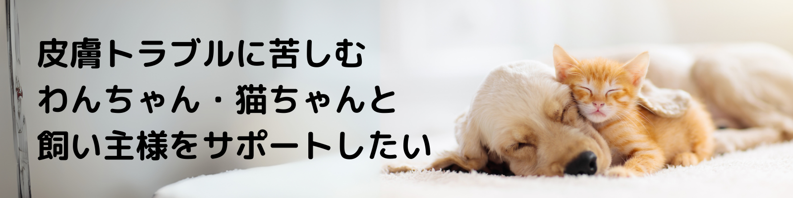 はじめての方へ
