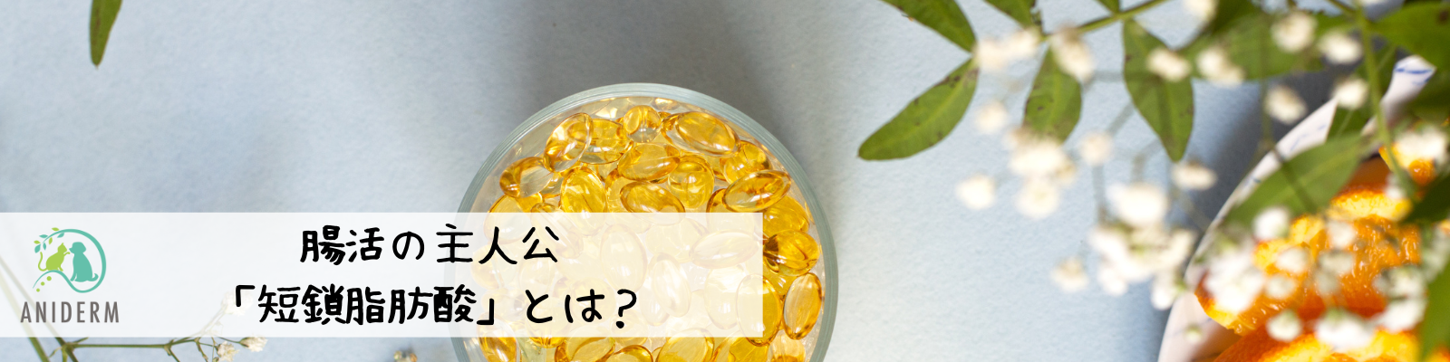 腸活の主人公！短鎖脂肪酸の効果をわかりやすく解説