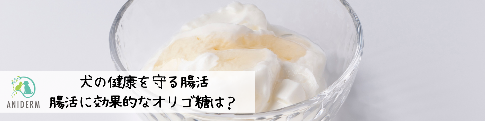 犬も腸活しよう！腸活に効果的なオリゴ糖とは？
